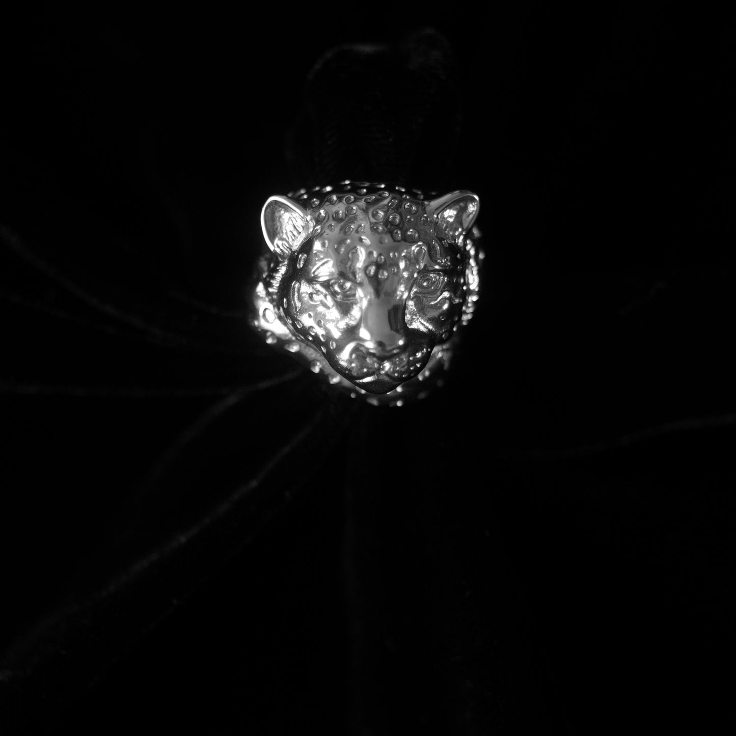 On a black background, sits a silver ring in the shape of a snow leopard.